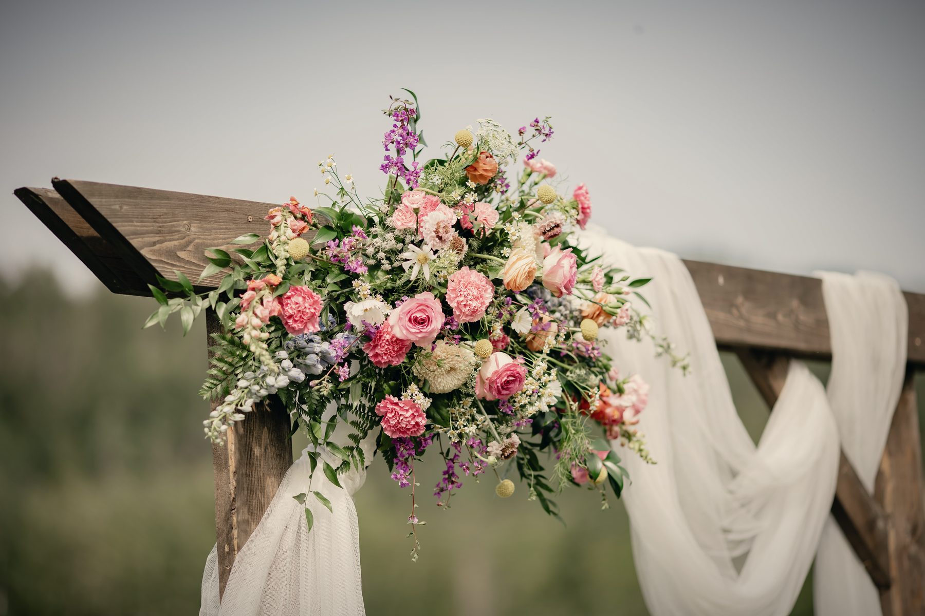 Pink, peach and violet florals on the arbour, white drapery falling beside it