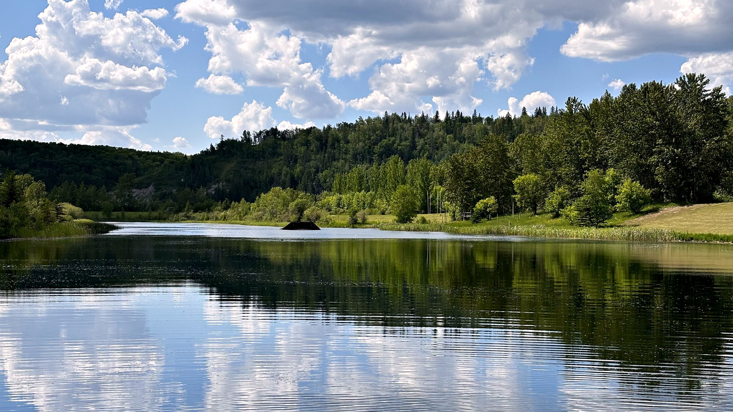 The lake holding a full, unbroken reflection of the summer cloud and the wooded valley bank behind it