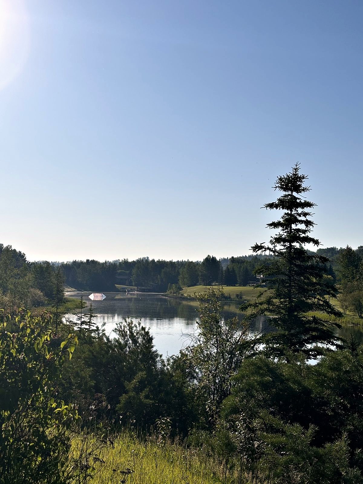 A single spruce at the top of the slope, the lake and the valley beyond it